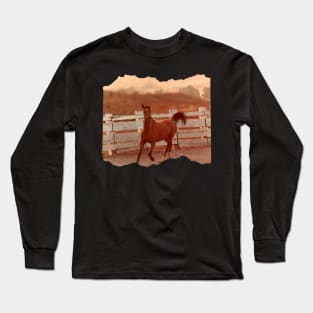 Bay Arabian Horse Long Sleeve T-Shirt